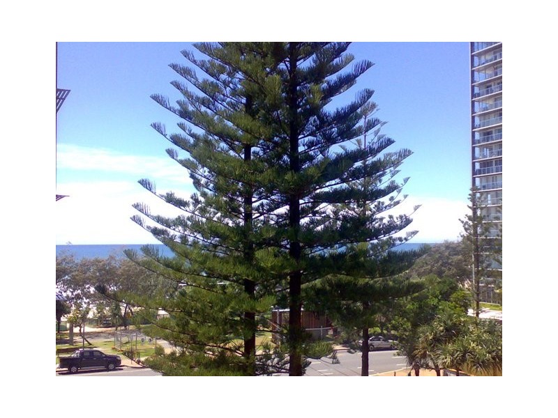 301/9 Laycock Street, Surfers Paradise QLD 4217