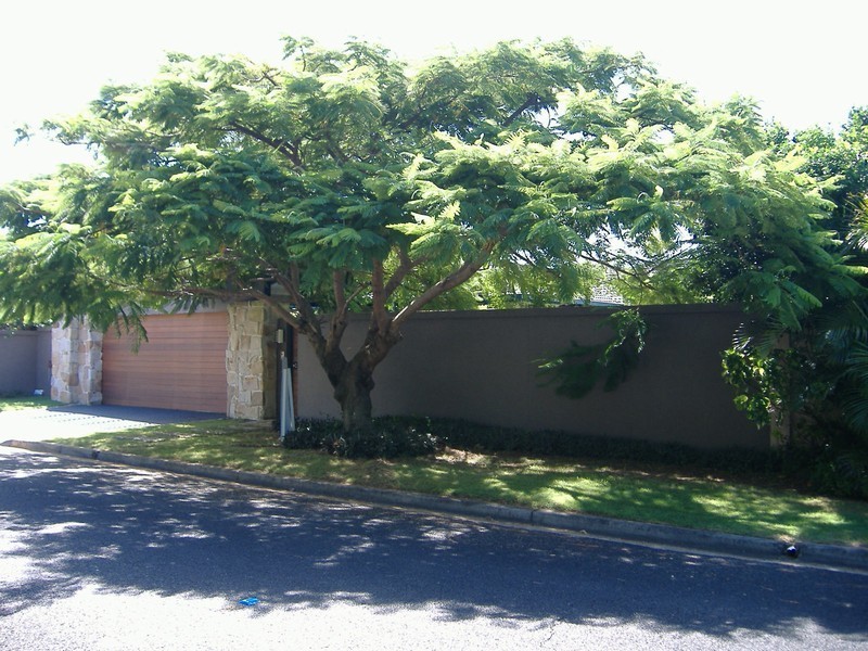 10 Sundowner Court, Mermaid Waters QLD 4218