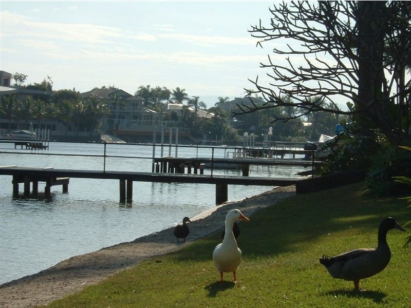 347 Monaco Street, Broadbeach Waters QLD 4218