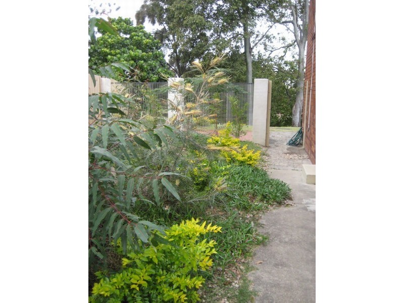 1/13 Orvieto Ave, Mermaid Waters QLD 4218