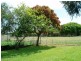 61 Donald Street, Woody Point QLD 4019