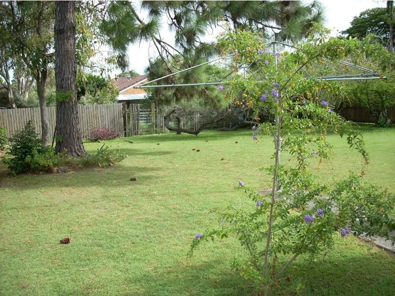 52 Trilby Street, Redcliffe QLD 4020