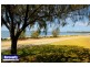 5 Donald Street, Woody Point QLD 4019