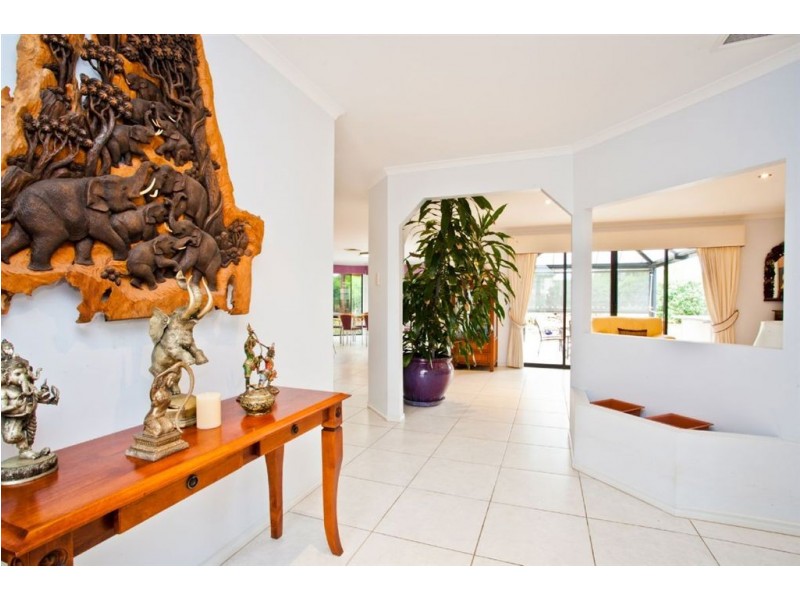 7 Aurora Place, Newport QLD 4020