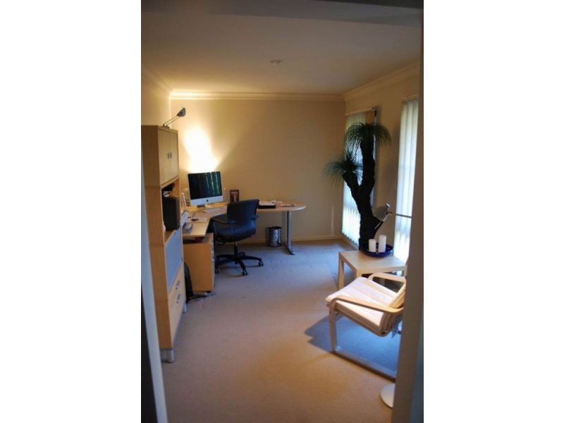 8 Peterson Street, Scarborough QLD 4020