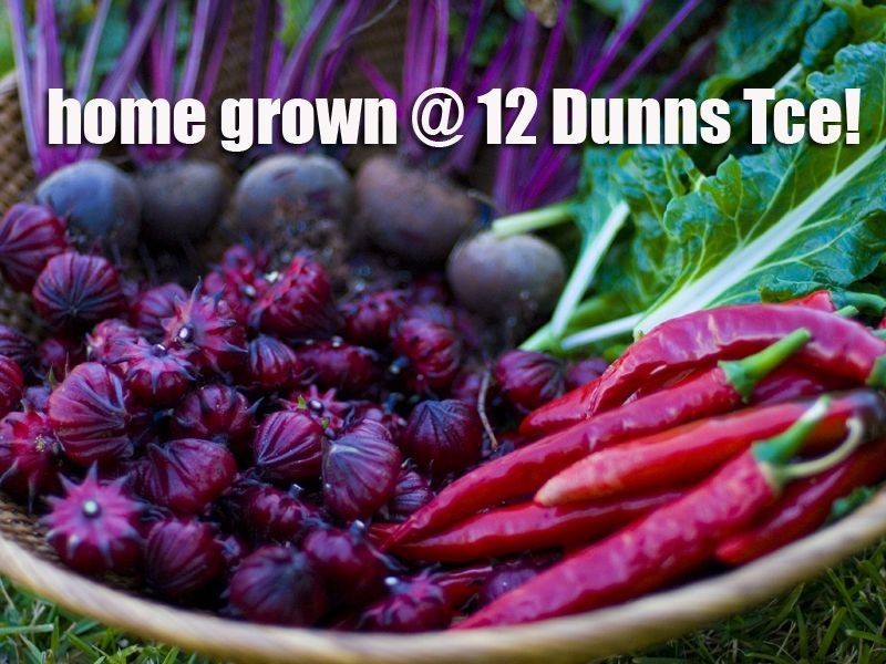 10 &/or 12 Dunns Terrace, Scarborough QLD 4020