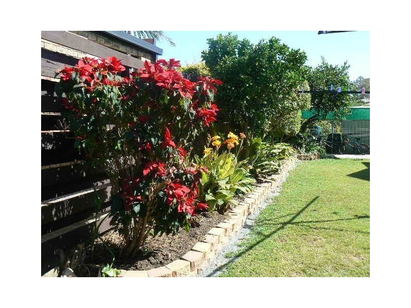 52 Shea Street, Scarborough QLD 4020