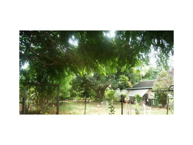 31 Clifford Street, Woody Point QLD 4019