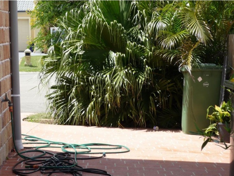 1 Bryce Court, Scarborough QLD 4020