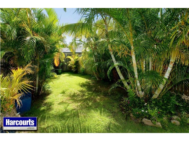 3 Dumaresq Crescent, Murrumba Downs QLD 4503