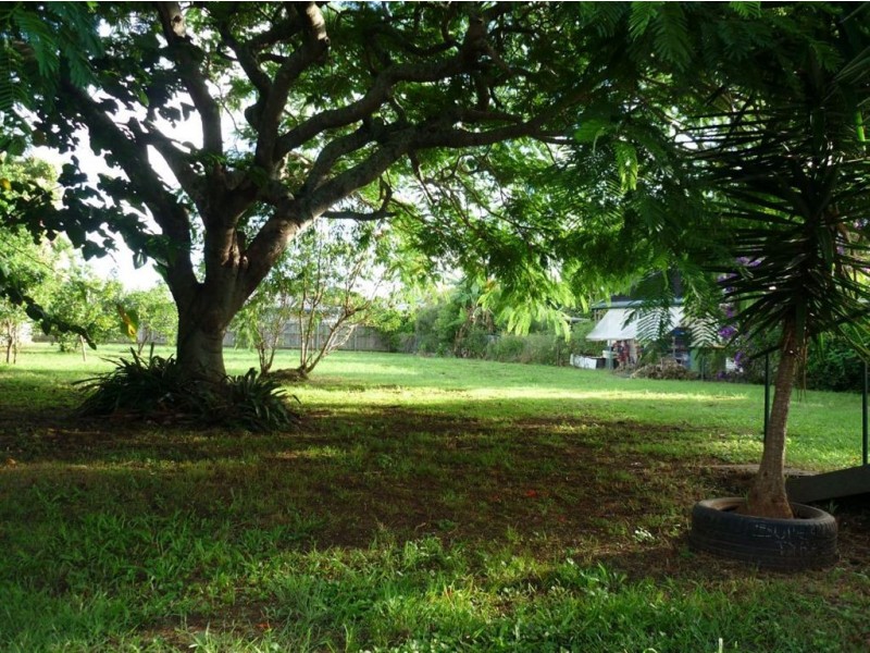 31 Clifford Street, Woody Point QLD 4019