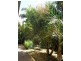 178a MacDonnell Rd, Margate QLD 4019