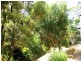 178a MacDonnell Rd, Margate QLD 4019