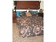 104 Cambridge St, Rothwell QLD 4022