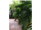 1 Bryce Street, Newport QLD 4020
