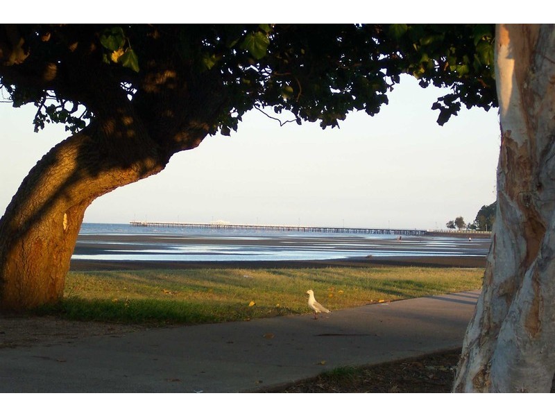 49 Morcombe street, Brighton QLD 4017