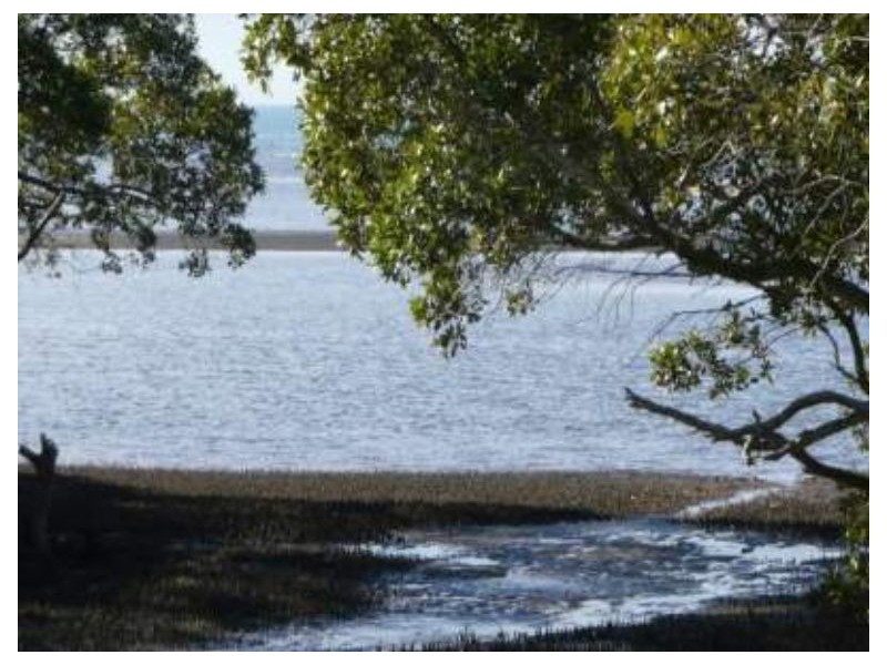 19 O’Quinn Street, Nudgee Beach QLD 4014