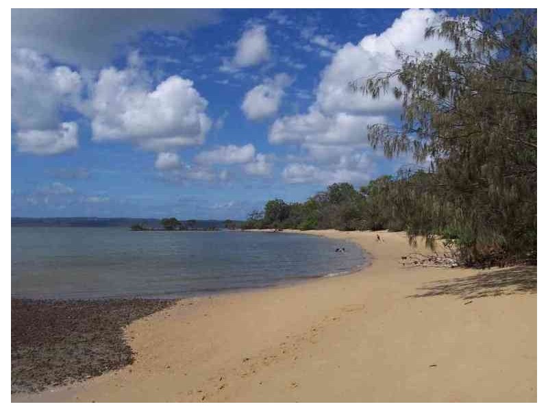 8 Erobin Street, Coochiemudlo Island QLD 4184