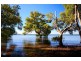 10 Gray street, Redland Bay QLD 4165