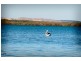 10 Gray street, Redland Bay QLD 4165