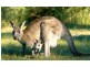 64-76 Heinemann Road, Redland Bay QLD 4165