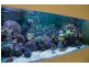 4 Fitzroy on the Bay, Cleveland QLD 4163