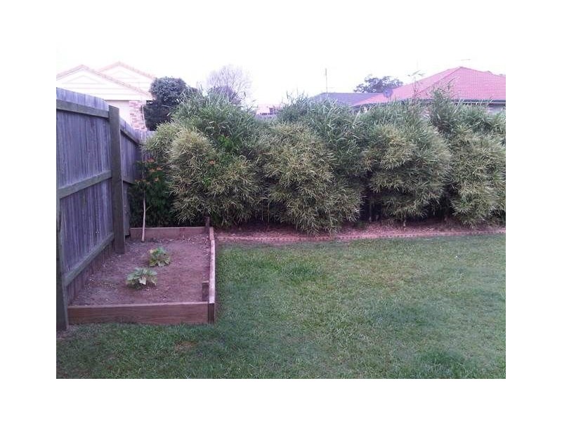 19 Creekside Circuit West, Victoria Point QLD 4165