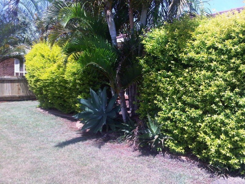 50 School Road, Victoria Point QLD 4165