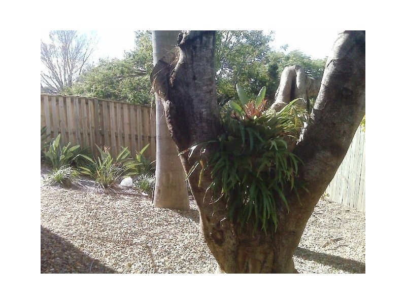 5/784 Old Cleveland Rd, Carina QLD 4152