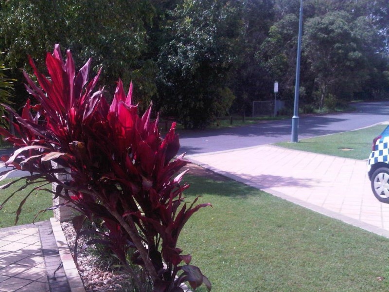 37 Parklink Drive, Redland Bay QLD 4165