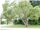 64 Coburg St East, Cleveland QLD 4163