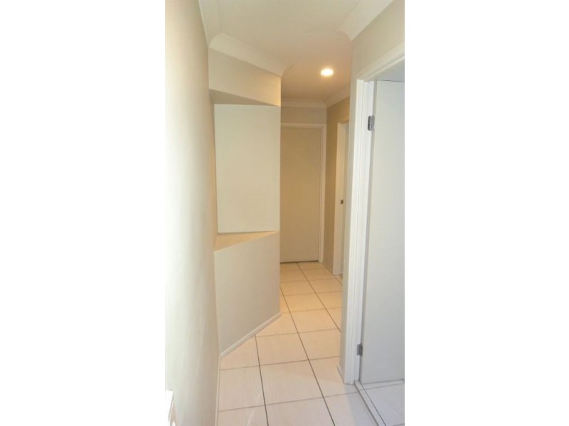 43 Waterlily Crct, Carseldine QLD 4034