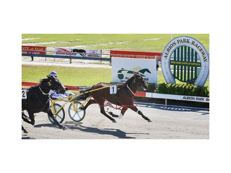 58 Nariel Street, Albion QLD 4010