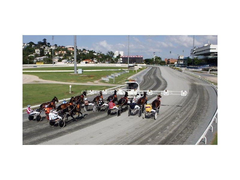 58 Nariel Street, Albion QLD 4010