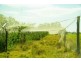 LOT 3 Pikes Road, Glass House Mountains QLD 4518