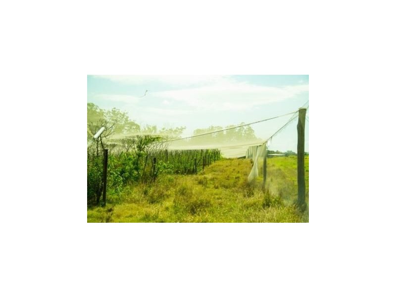 LOT 3 Pikes Road, Glass House Mountains QLD 4518