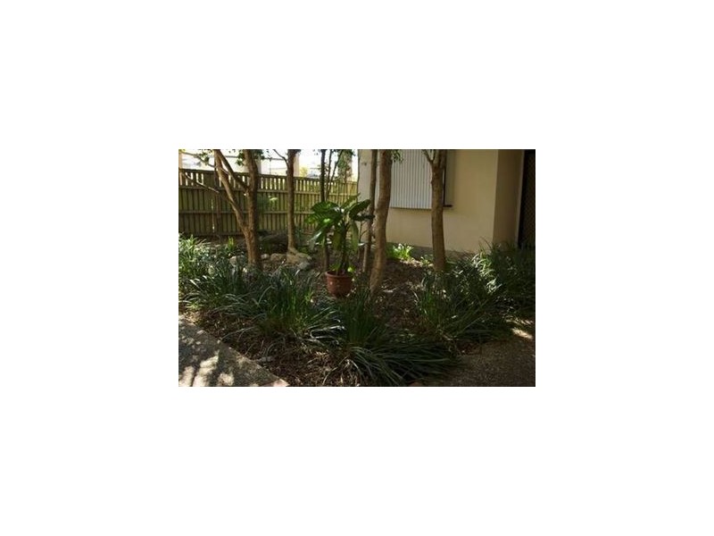 3/11 Mitchell Street, Kedron QLD 4031