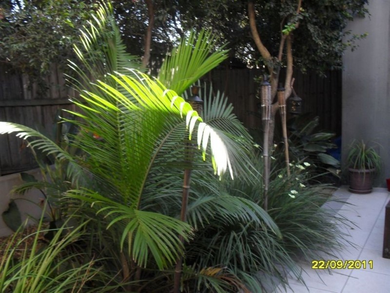 8/233 Gympie Road, Kedron QLD 4031