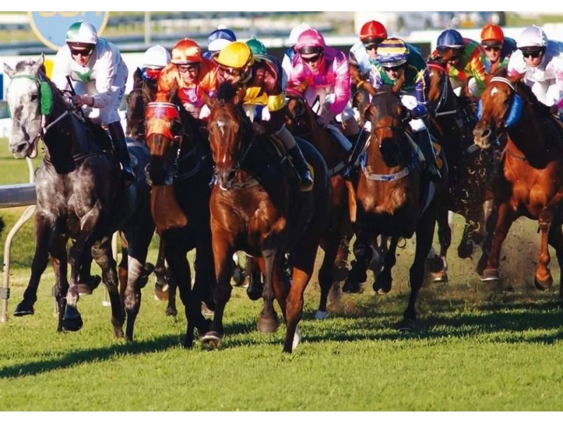 99 Jackson Street, Hamilton QLD 4007