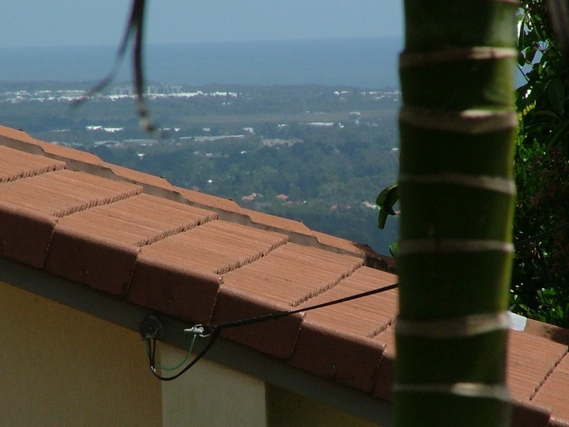 50 Ferguson Av, Buderim QLD 4556