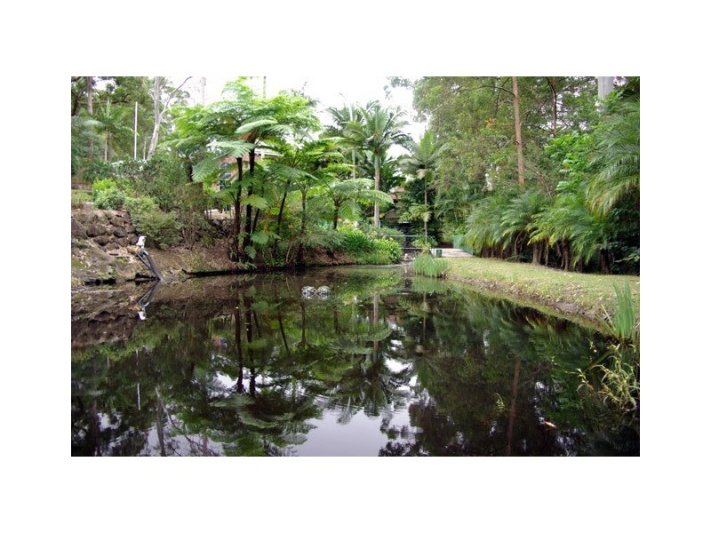 7 Barleycorn Avenue, Buderim QLD 4556