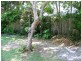 15 Bandaroo St, Warana QLD 4575