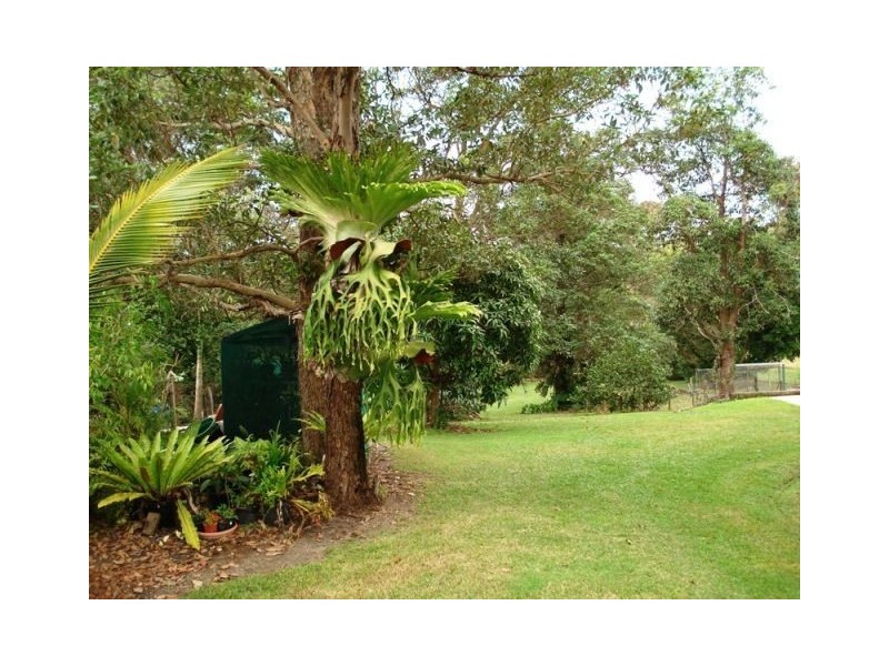 34 Laxton Road, Palmview QLD 4553
