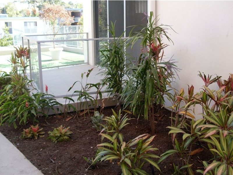 Alexandra Headland QLD 4572