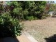 Mooloolaba QLD 4557