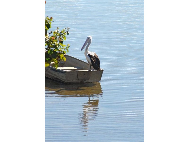 3/80 Broadwater Av, Maroochydore QLD 4558