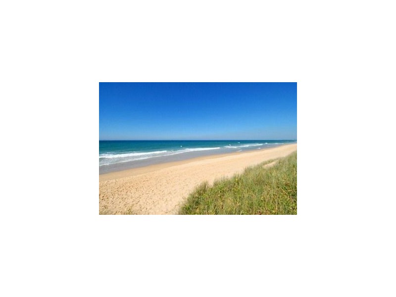 14/145 Lowanna Drive, Buddina QLD 4575