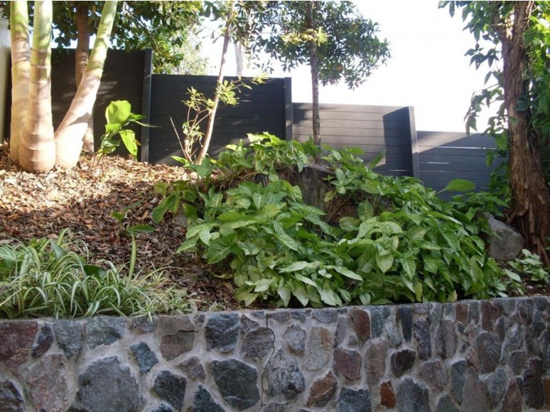 Alexandra Headland QLD 4572