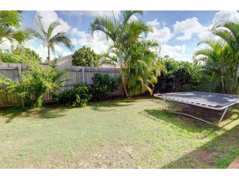 6 Honeymyrtle Court, Mountain Creek QLD 4557