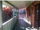 Mooloolaba QLD 4557